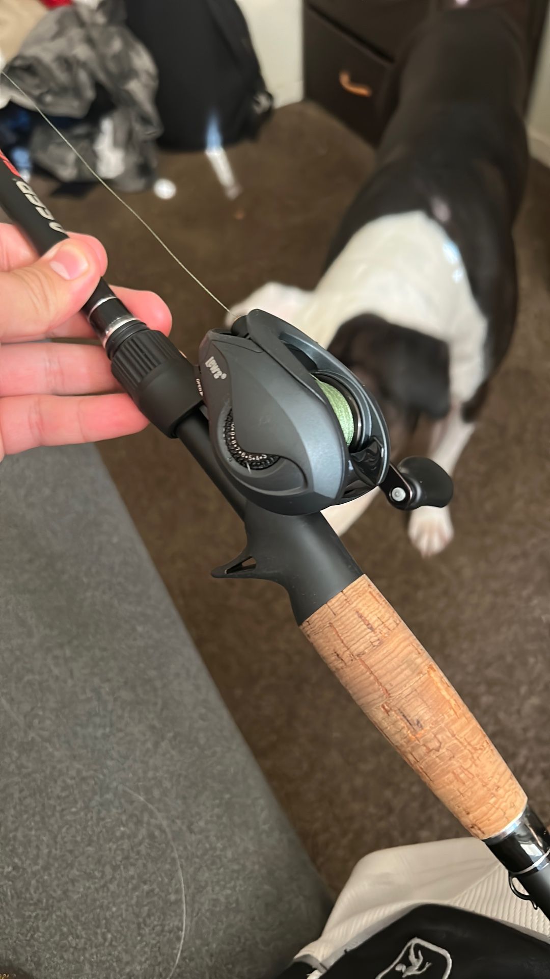 Lews combo 7 foot three medium heavy action rod paired with the new use $99 custom custom reel