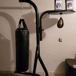 Punching Bag With MMA Gloves