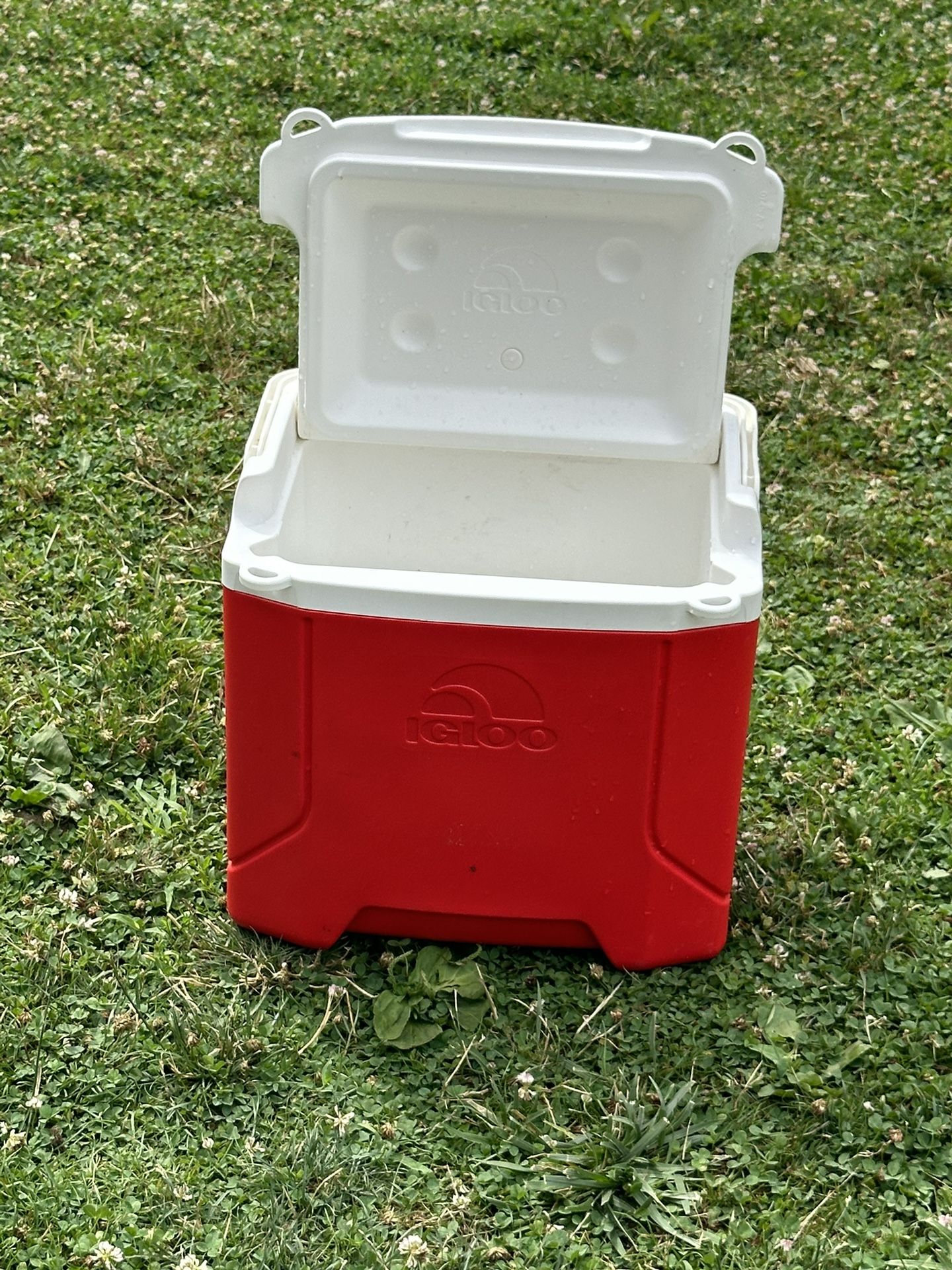 Igloo Cooler 16 Qt