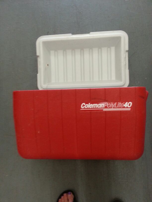Coleman Polylite 40 qt ice chest