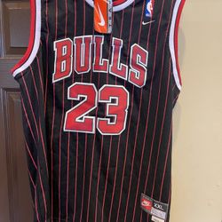 Pinstripe michael best sale jordan jersey