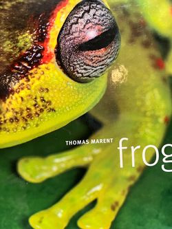 Giant Frog Book