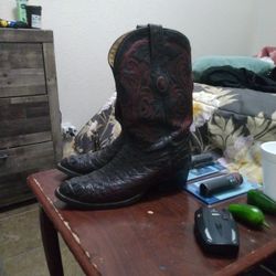 Alligator Boots