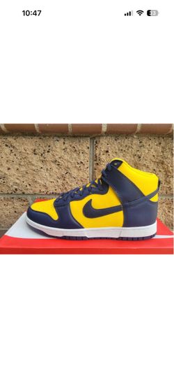 Nike Dunk Hi Retro SE Shoes Men’s Size 10