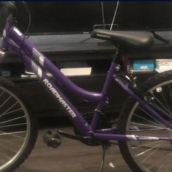 Purple Bike 