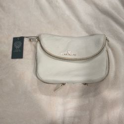Vince Camuto purse