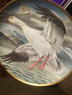 Decorative Collector Plate Snow Goose Art