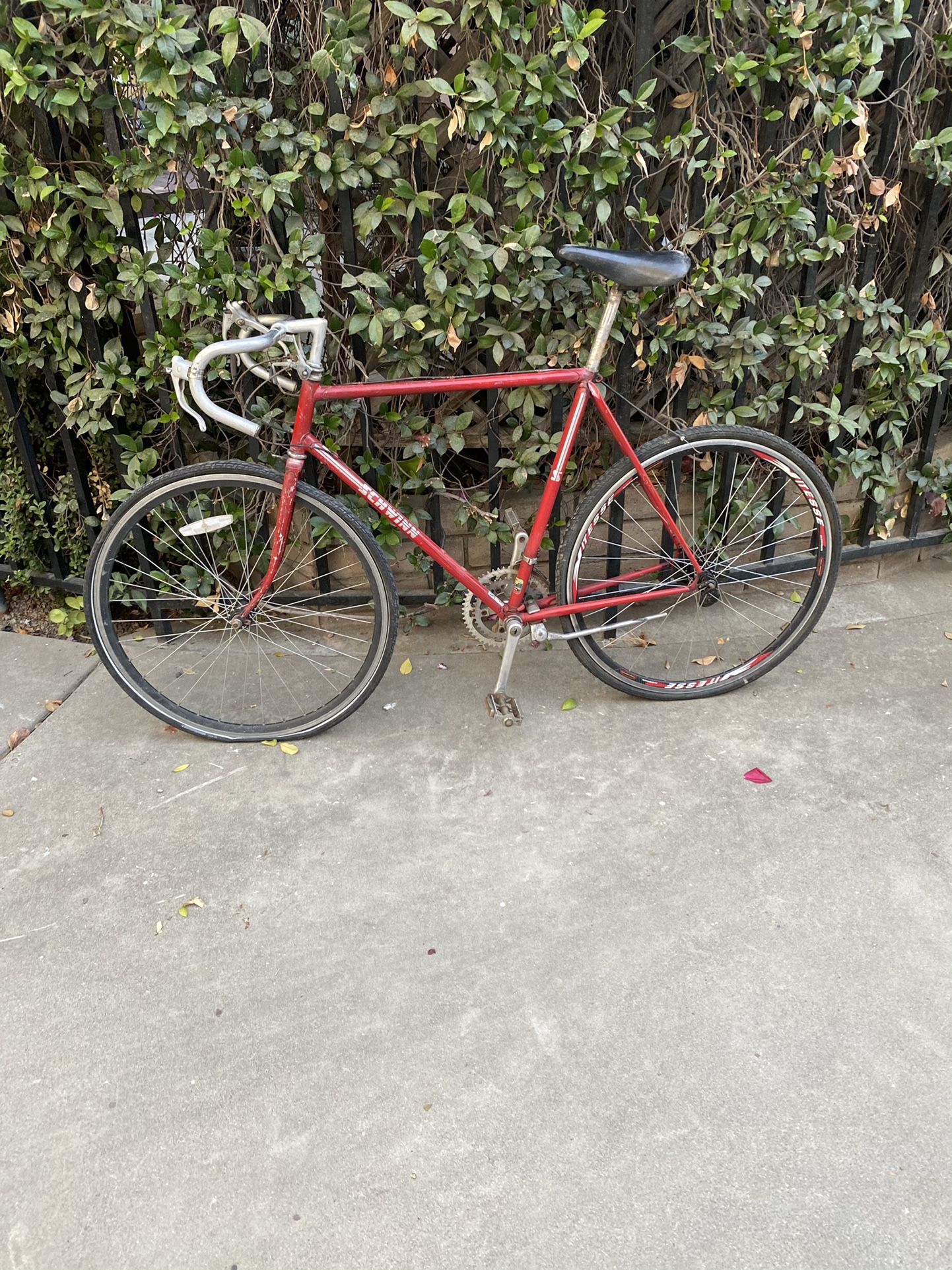 Vintage Schwinn Traveler Project Bike