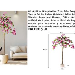 Beautiful  flower pot