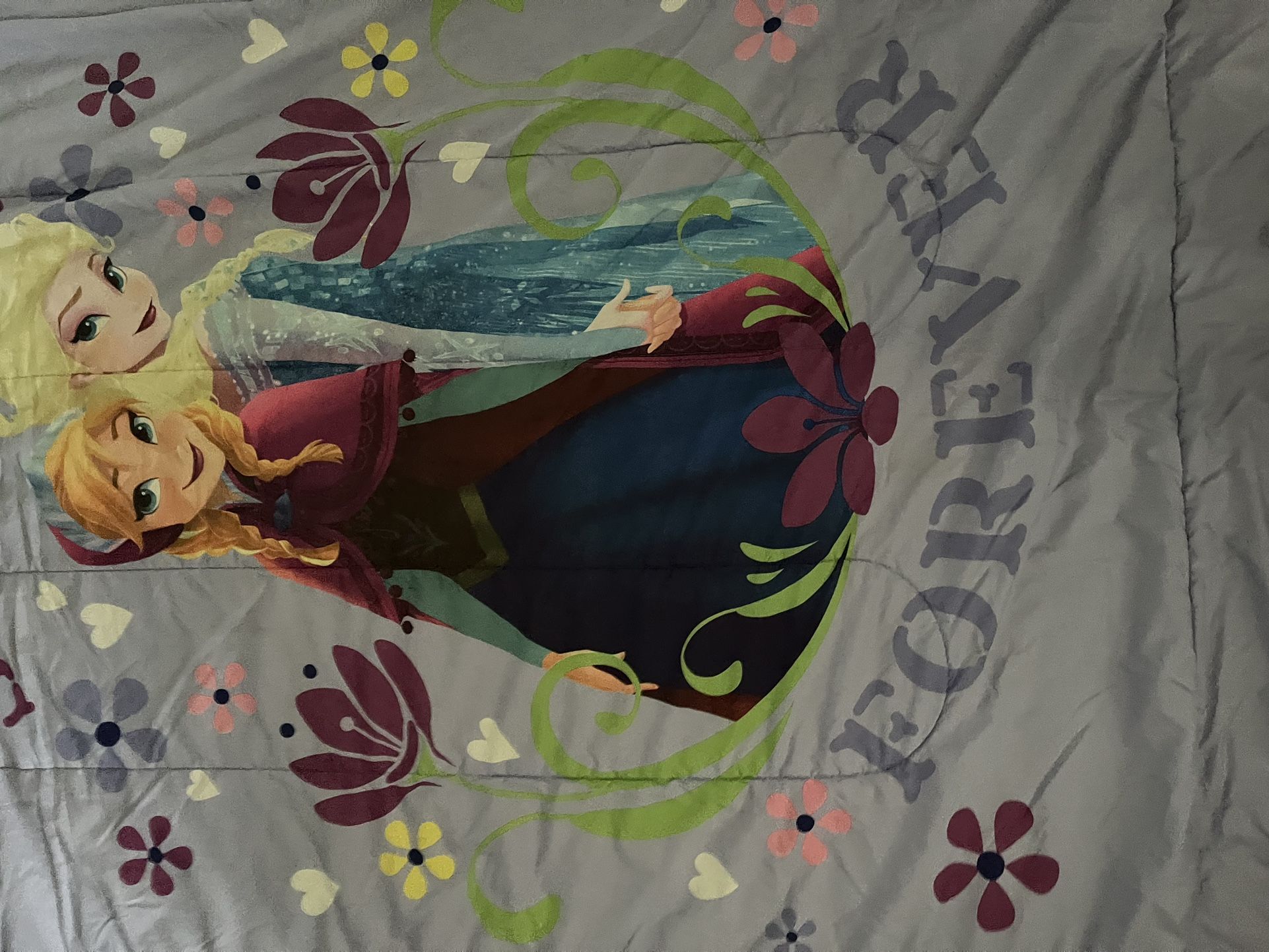 Elsa and Anna comforter and sheet set
