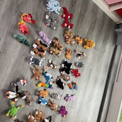 Beanie Babies Collection