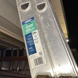 WERNER 24FT EXTENSION LADDER