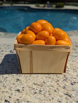 Kumquats by the pound; Picked fresh every order; Glendora, Cash Only 