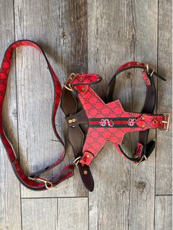 Pet harness’s and leash