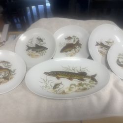 Naa Man Porcelain From Israel