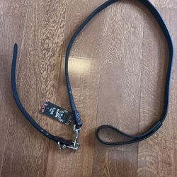 Bret Michaels Dog Leash and Collar 