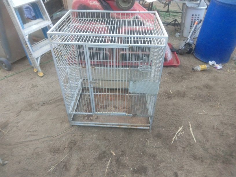 Bird Cages
