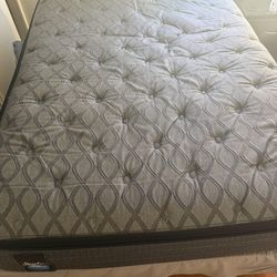 Sealy Queen Bed Moving Sale  Pick Up Only