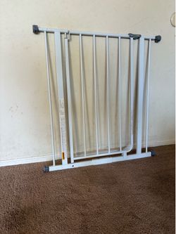 Baby gate with door