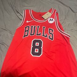 Zach Lavine Jersey