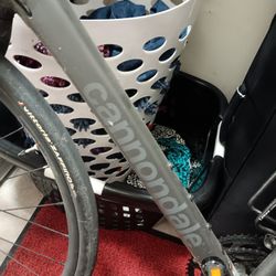 Cannondale Synapse