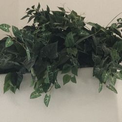 Artificial Plant