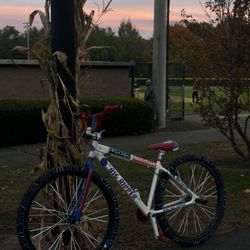 29’ se bike blue and red 