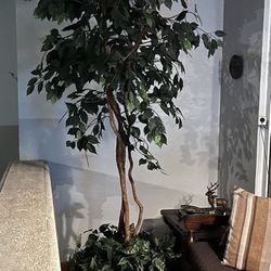 Artificial Ficus Tree 7 Feet Tall… Real Wood Looking Branches… SEE ALL PICTURES… AS IS… $45