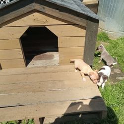 Small Pallet Dog House 