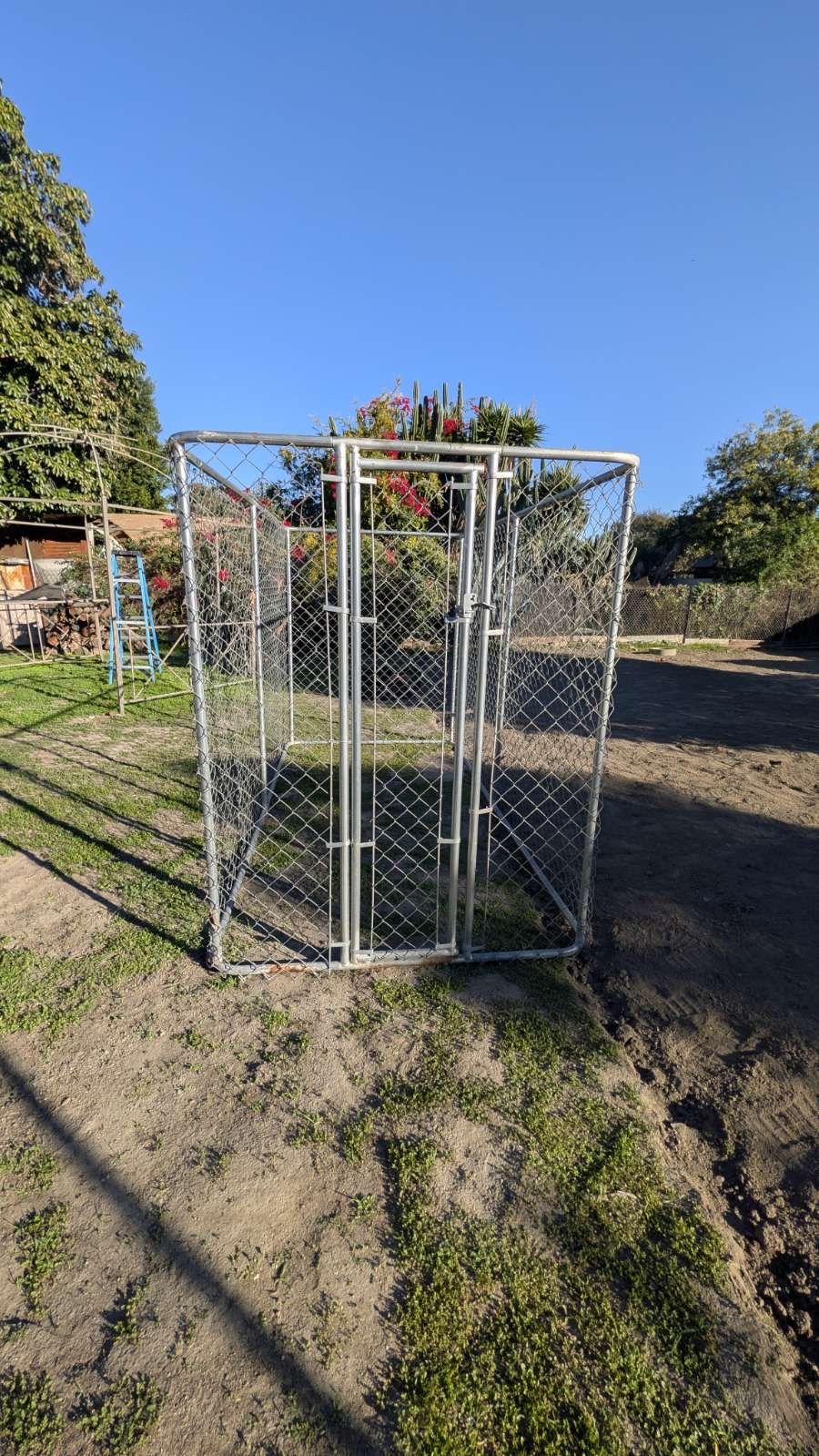 Chain Link Kennel
