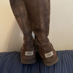 Tall zipper Brown Uggs New Size 7