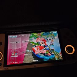 Trimui Smart Pro Handheld 