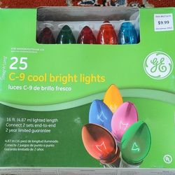 GE String-A-Long incandescent C-9 glow bright 25-count multicolor ceramic-look light set