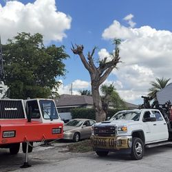 Sheds Muving To Relocating All Florida 