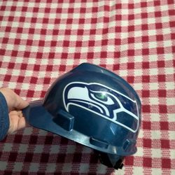 Seahawks Bump Cap