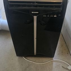 Sharp Portable Ac Works Great!