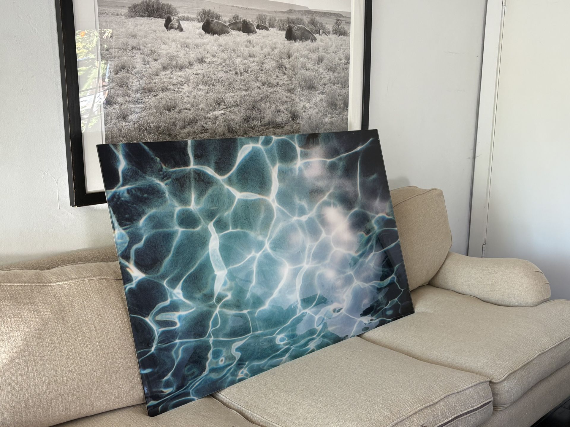 Large Scale Photography Printed And Mounted On Acrylic 48.32x1/2 
