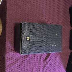 Dual Indoor/outdoor Speaker 