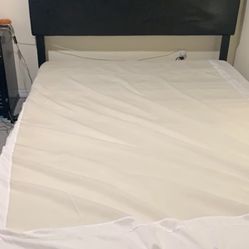 Black Queen Bed With Box Spring 