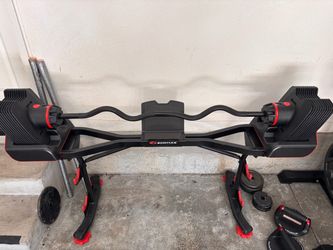 Bowflex SelectTech 2080 Curl Bar & Stand
