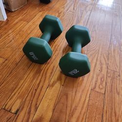 Dumbbell Hand Weights 20 Lbs Pair