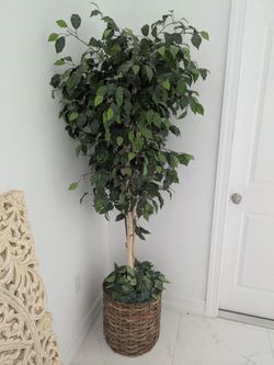Faux Ficus Tree in Basket Planter Pot ~6 ft Tall