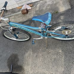 Bicycle