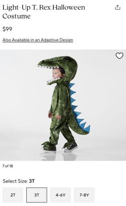 T Rex, Dinosaur, Dragon Pottery barn 3T