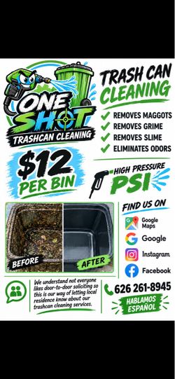 Trash Bin Cleaning