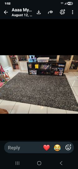 Large Dark Speckled Area Rug