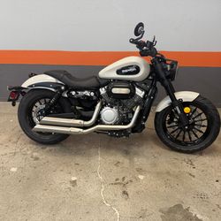 2025 BENDA CHINCHILLA 300