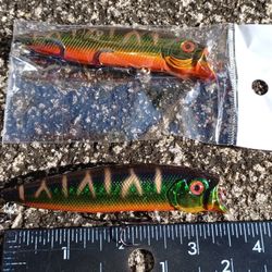 Shallow Water Subsurface Lure