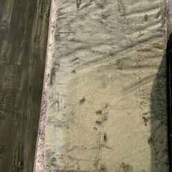 Pet Beds - Teddy Bear Brand 