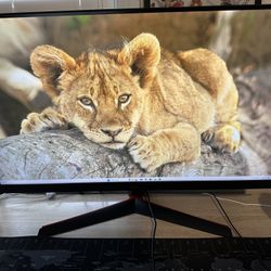 LG Ultra gear 32GN600 32” QHD 165Hz Monitor
